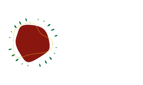 Kadyllo Agencia WEB