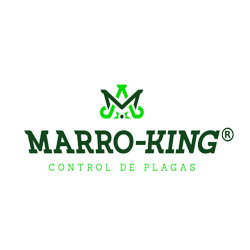 marro-king
